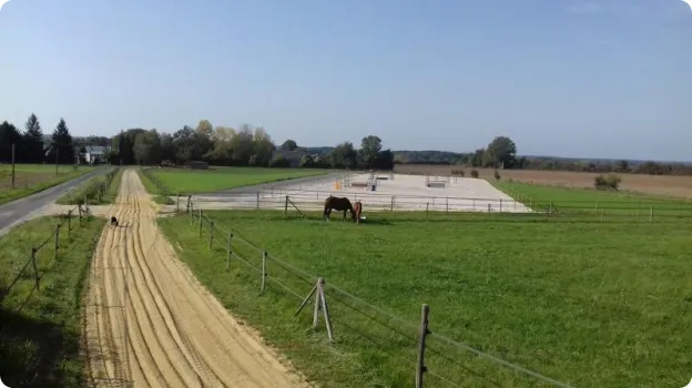 Chevaux pâturant près d'un terrain de sable pour travaux publics près de Semblançay